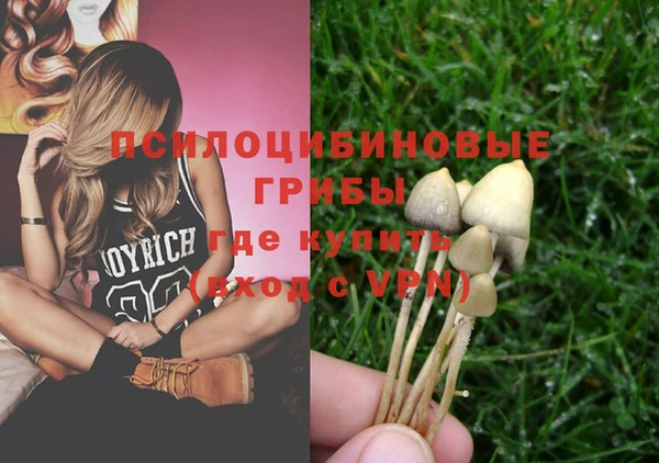гидропоника Абдулино