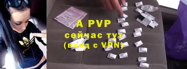 стафф Абинск