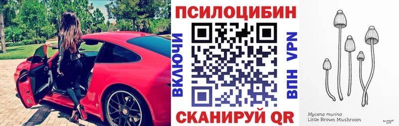 Галлюциногенные грибы Psilocybe  Калачинск 